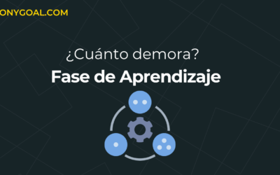 ¿Cuánto demora la frase de aprendizaje en Google Ads?