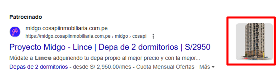 extension de imagen campaña en google ads